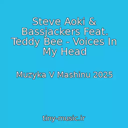 کاور آهنگ Steve Aoki & Bassjackers Feat. Teddy Bee - Voices In My Head از Muzyka V Mashinu 2025