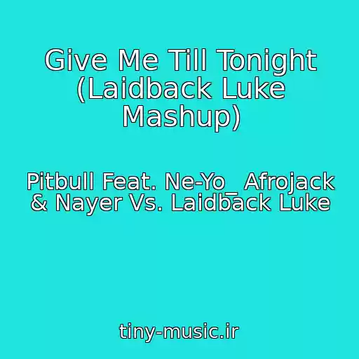 کاور آهنگ Give Me Till Tonight (Laidback Luke Mashup) از Pitbull Feat. Ne-Yo_ Afrojack & Nayer Vs. Laidback Luke