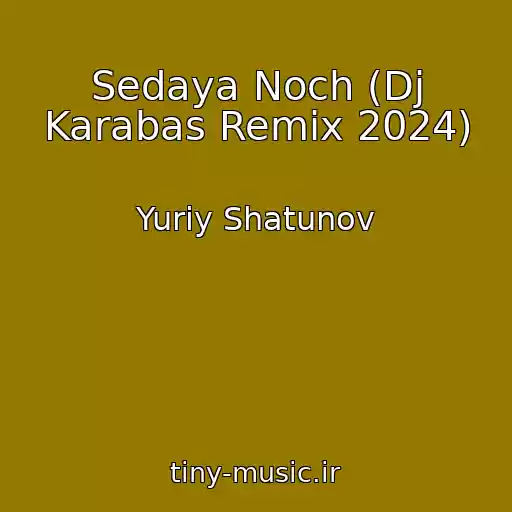 کاور آهنگ Sedaya Noch (Dj Karabas Remix 2024) از Yuriy Shatunov