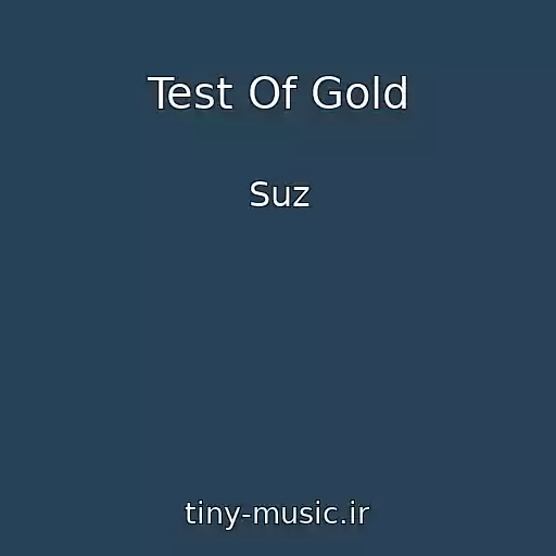 کاور آهنگ Test Of Gold از Suz