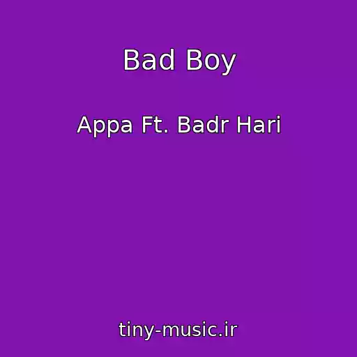 کاور آهنگ Bad Boy از Appa Ft. Badr Hari
