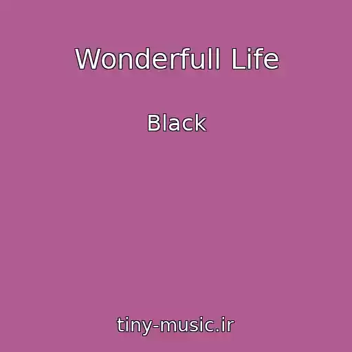 کاور آهنگ Wonderfull Life از Black