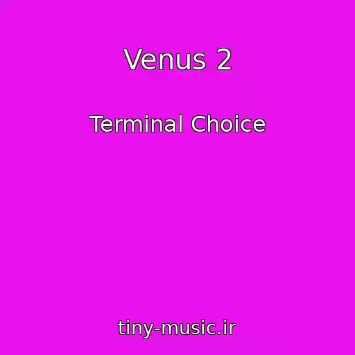 کاور آهنگ Venus 2 از Terminal Choice