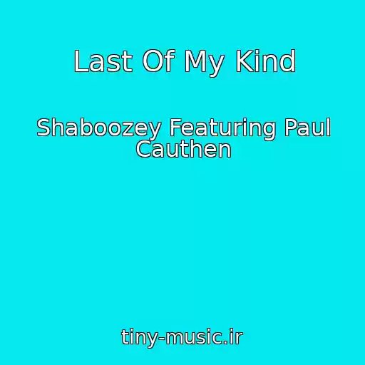 کاور آهنگ Last Of My Kind از Shaboozey Featuring Paul Cauthen