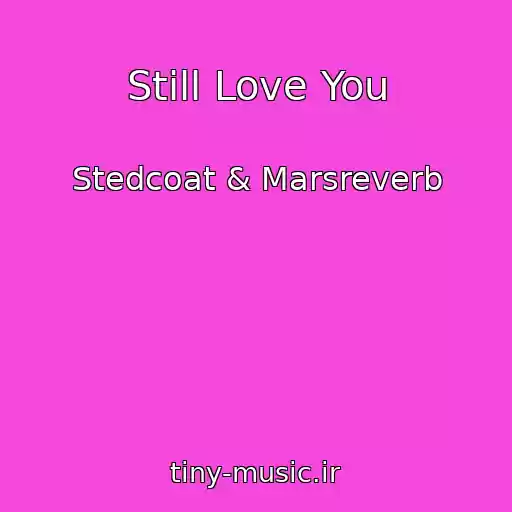 کاور آهنگ Still Love You از Stedcoat & Marsreverb