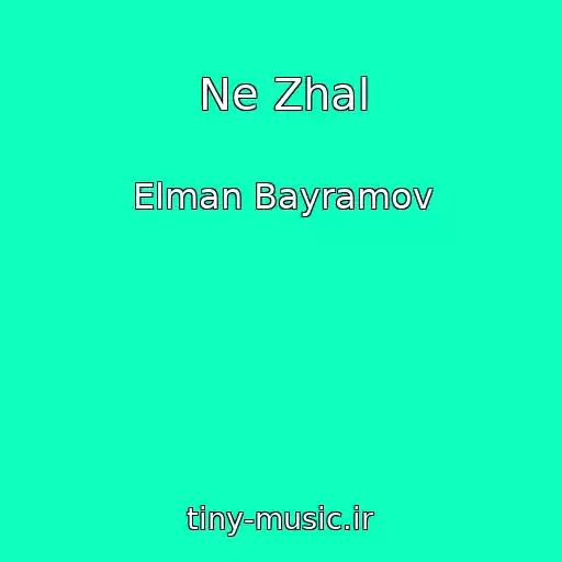 کاور آهنگ Ne Zhal از Elman Bayramov