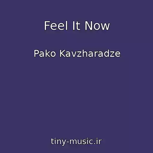کاور آهنگ Feel It Now از Pako Kavzharadze