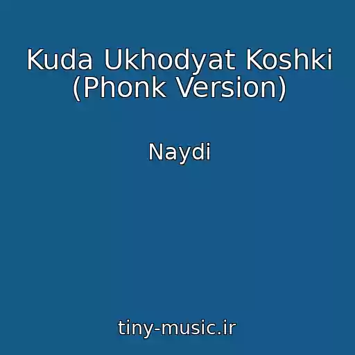 کاور آهنگ Kuda Ukhodyat Koshki (Phonk Version) از Naydi
