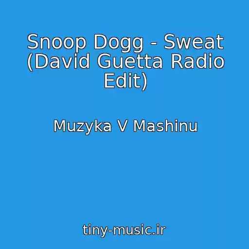 کاور آهنگ Snoop Dogg - Sweat (David Guetta Radio Edit) از Muzyka V Mashinu