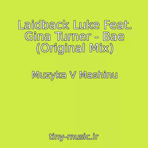 کاور آهنگ Laidback Luke Feat. Gina Turner - Bae (Original Mix) از Muzyka V Mashinu