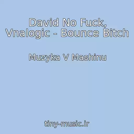 کاور آهنگ David No Fuck, Vnalogic - Bounce Bitch از Muzyka V Mashinu