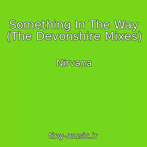 کاور آهنگ Something In The Way (The Devonshire Mixes) از Nirvana