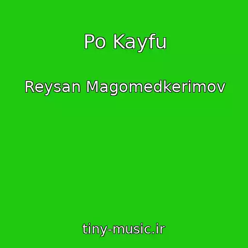 کاور آهنگ Po Kayfu از Reysan Magomedkerimov