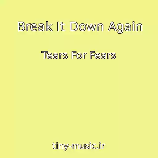 کاور آهنگ Break It Down Again از Tears For Fears