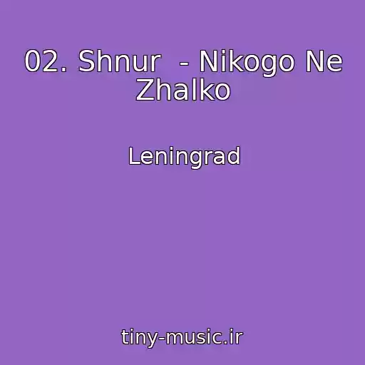 کاور آهنگ 02. Shnur  - Nikogo Ne Zhalko از Leningrad