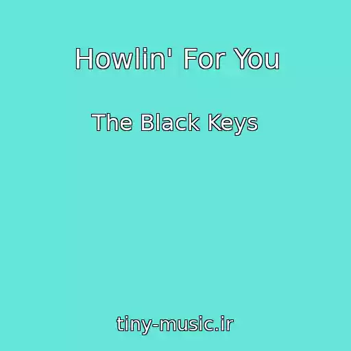 کاور آهنگ Howlin' For You از The Black Keys
