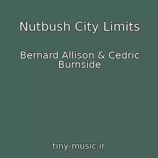 کاور آهنگ Nutbush City Limits از Bernard Allison & Cedric Burnside