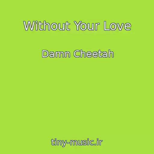 کاور آهنگ Without Your Love از Damn Cheetah