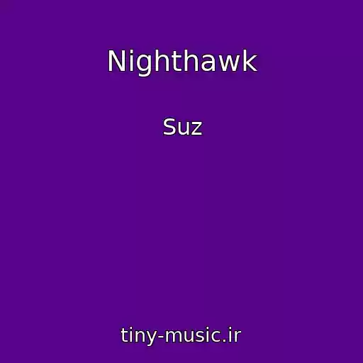 کاور آهنگ Nighthawk از Suz
