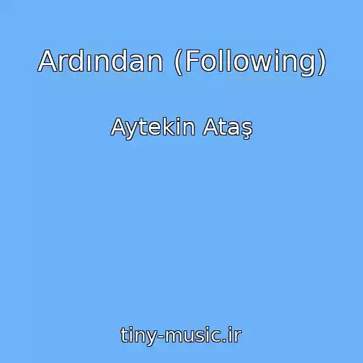 کاور آهنگ Ardından (Following) از Aytekin Ataş