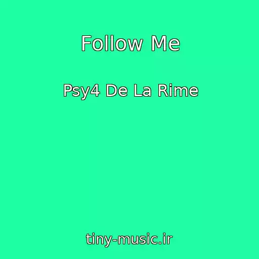 کاور آهنگ Follow Me از Psy4 De La Rime