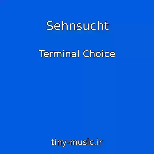 کاور آهنگ Sehnsucht از Terminal Choice