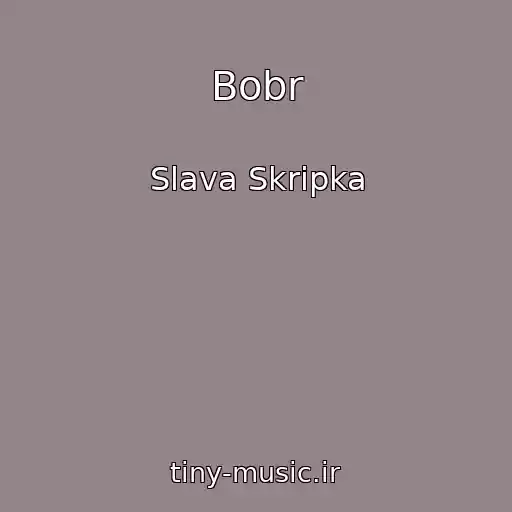 کاور آهنگ Bobr از Slava Skripka