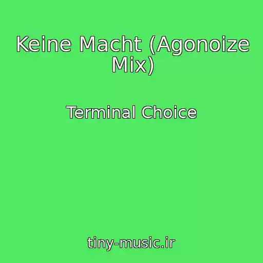 کاور آهنگ Keine Macht (Agonoize Mix) از Terminal Choice