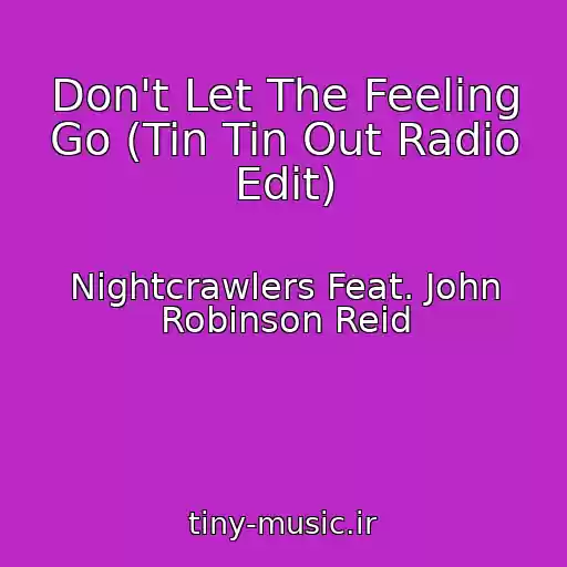 کاور آهنگ Don't Let The Feeling Go (Tin Tin Out Radio Edit) از Nightcrawlers Feat. John Robinson Reid