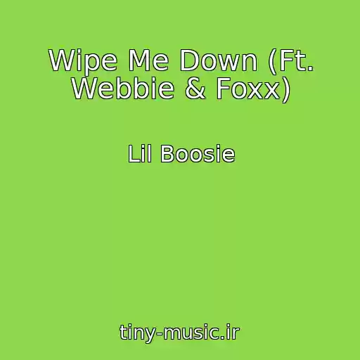 کاور آهنگ Wipe Me Down (Ft. Webbie & Foxx) از Lil Boosie