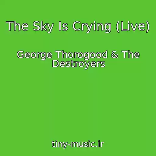 کاور آهنگ The Sky Is Crying (Live) از George Thorogood & The Destroyers