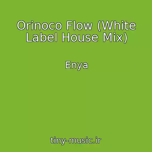 کاور آهنگ Orinoco Flow (White Label House Mix) از Enya