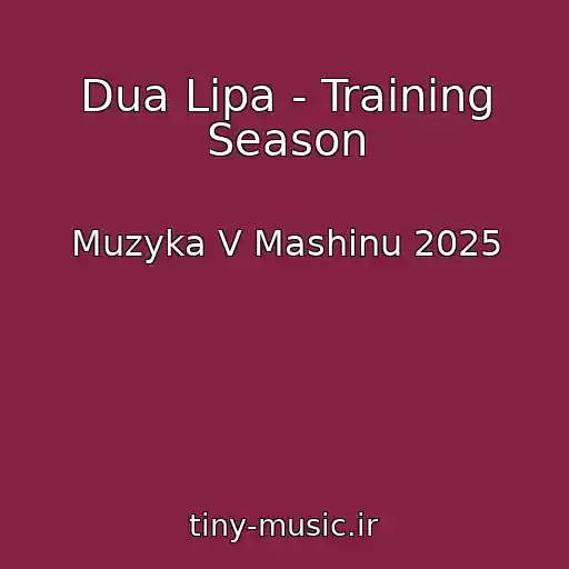 کاور آهنگ Dua Lipa - Training Season از Muzyka V Mashinu 2025