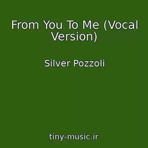 کاور آهنگ From You To Me (Vocal Version) از Silver Pozzoli