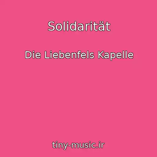 کاور آهنگ Solidarität از Die Liebenfels Kapelle