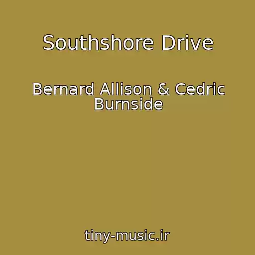 کاور آهنگ Southshore Drive از Bernard Allison & Cedric Burnside