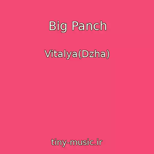 کاور آهنگ Big Panch از Vitalya(Dzha)