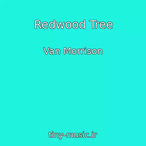 کاور آهنگ Redwood Tree از Van Morrison