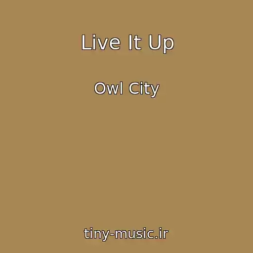 کاور آهنگ Live It Up از Owl City
