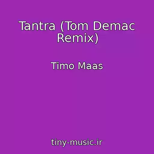 کاور آهنگ Tantra (Tom Demac Remix) از Timo Maas