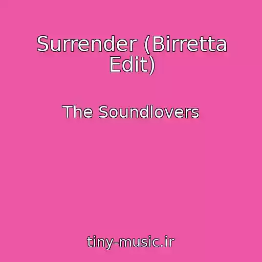 کاور آهنگ Surrender (Birretta Edit) از The Soundlovers