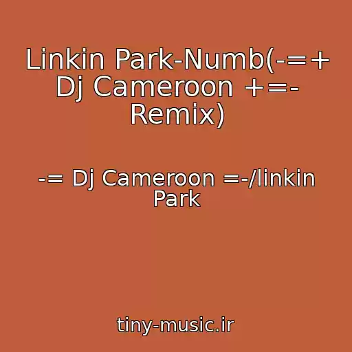 کاور آهنگ Linkin Park-Numb(-=+ Dj Cameroon +=- Remix) از -= Dj Cameroon =-/linkin Park
