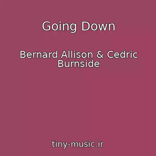 کاور آهنگ Going Down از Bernard Allison & Cedric Burnside