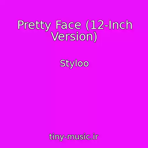 کاور آهنگ Pretty Face (12-Inch Version) از Styloo