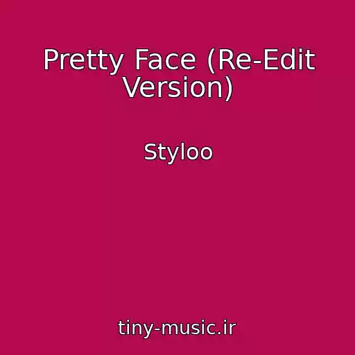 کاور آهنگ Pretty Face (Re-Edit Version) از Styloo