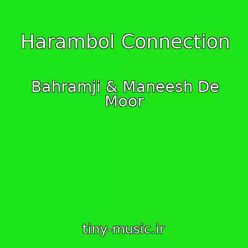 کاور آهنگ Harambol Connection از Bahramji & Maneesh De Moor