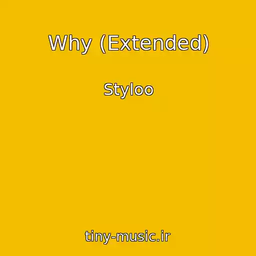 کاور آهنگ Why (Extended) از Styloo