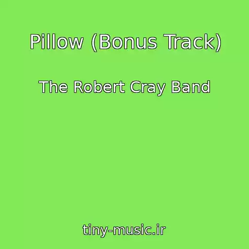 کاور آهنگ Pillow (Bonus Track) از The Robert Cray Band