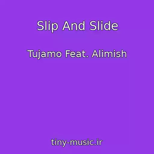 کاور آهنگ Slip And Slide از Tujamo Feat. Alimish