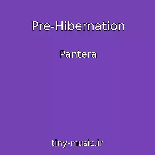 کاور آهنگ Pre-Hibernation از Pantera